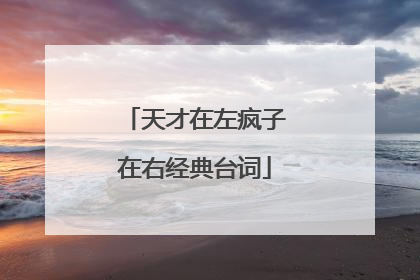 天才在左疯子在右经典台词