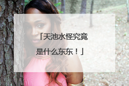 天池水怪究竟是什么东东！