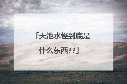 天池水怪到底是什么东西??