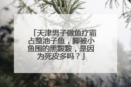 天津男子做鱼疗霸占整池子鱼，脚被小鱼围的黑黢黢，是因为死皮多吗？