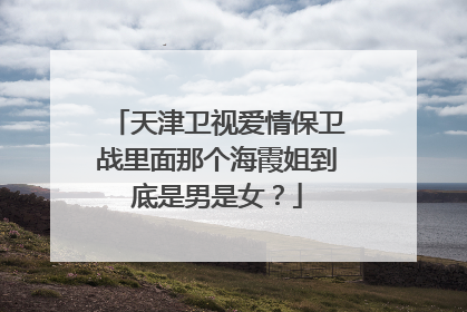 天津卫视爱情保卫战里面那个海霞姐到底是男是女？