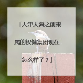 天津天海之前隶属的权健集团现在怎么样了?