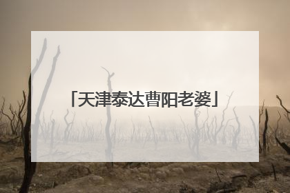 天津泰达曹阳老婆