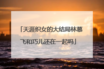 天涯织女的大结局林慕飞和巧儿还在一起吗