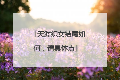 天涯织女结局如何,请具体点