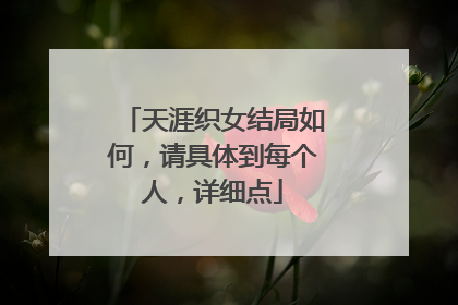 天涯织女结局如何,请具体到每个人,详细点