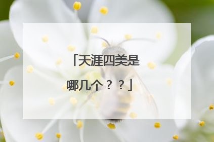 天涯四美是哪几个？？