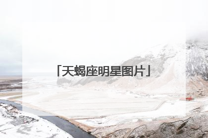 天蝎座明星图片