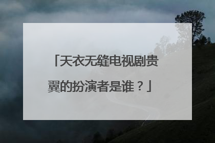 天衣无缝电视剧贵翼的扮演者是谁?
