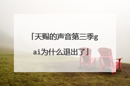 天赐的声音第三季gai为什么退出了