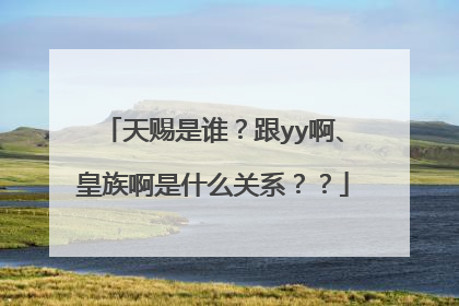 天赐是谁?跟yy啊、皇族啊是什么关系??