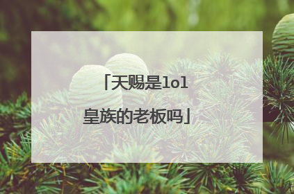 天赐是lol皇族的老板吗