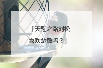 天醒之路刘松喜欢楚敏吗？