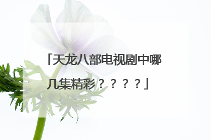 天龙八部电视剧中哪几集精彩？？？？