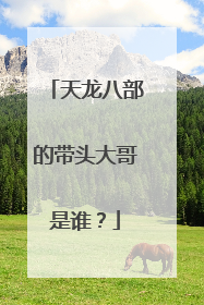 天龙八部的带头大哥是谁？