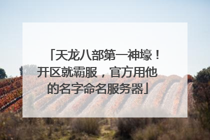 天龙八部第一神壕！开区就霸服，官方用他的名字命名服务器