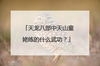 天龙八部中天山童姥练的什么武功？