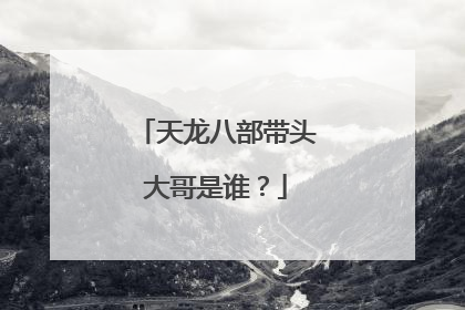 天龙八部带头大哥是谁?