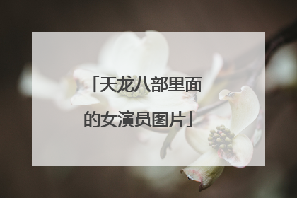 天龙八部里面的女演员图片