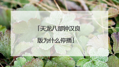 天龙八部钟汉良版为什么停播