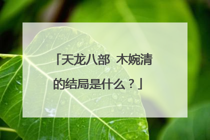 天龙八部 木婉清的结局是什么？