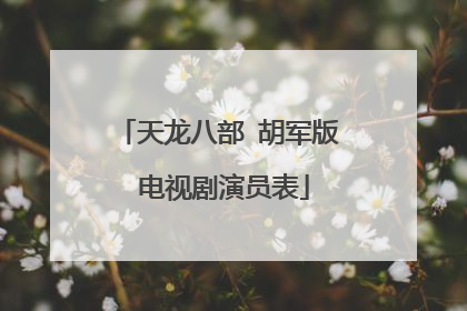 天龙八部 胡军版 电视剧演员表