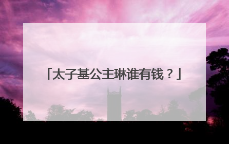 太子基公主琳谁有钱？