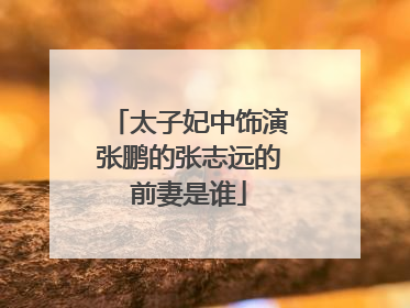 太子妃中饰演张鹏的张志远的前妻是谁