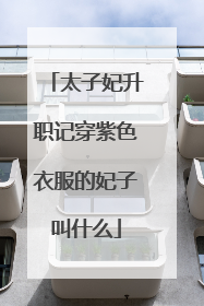 太子妃升职记穿紫色衣服的妃子叫什么