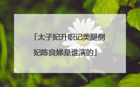 太子妃升职记美腿侧妃陈良娣是谁演的