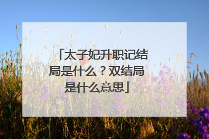 太子妃升职记结局是什么？双结局是什么意思