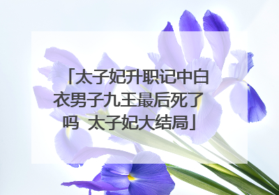 太子妃升职记中白衣男子九王最后死了吗 太子妃大结局