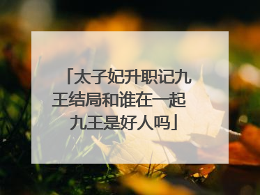 太子妃升职记九王结局和谁在一起 九王是好人吗