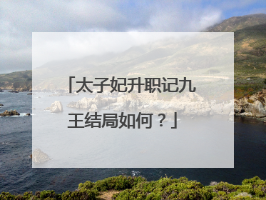 太子妃升职记九王结局如何?
