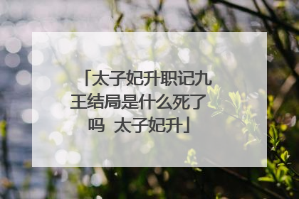 太子妃升职记九王结局是什么死了吗 太子妃升