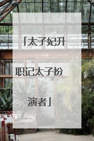 太子妃升职记太子扮演者