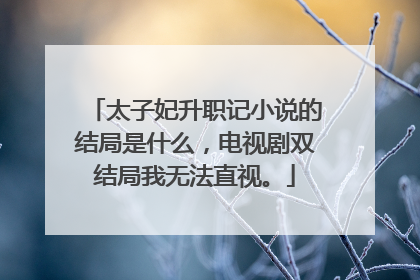 太子妃升职记小说的结局是什么，电视剧双结局我无法直视。