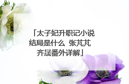 太子妃升职记小说结局是什么 张芃芃齐晟番外详解