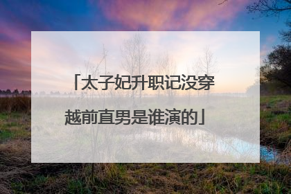 太子妃升职记没穿越前直男是谁演的