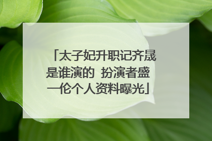 太子妃升职记齐晟是谁演的 扮演者盛一伦个人资料曝光