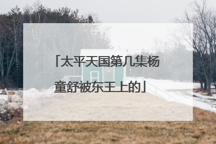 太平天国第几集杨童舒被东王上的