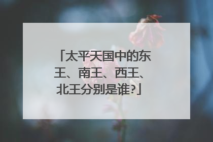 太平天国中的东王、南王、西王、北王分别是谁?