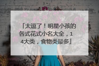 太逗了!明星小孩的各式花式小名大全,14大类,食物类最多