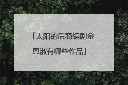 太阳的后裔编剧金恩淑有哪些作品