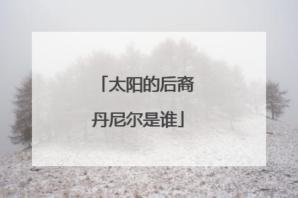 太阳的后裔丹尼尔是谁