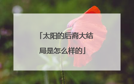 太阳的后裔大结局是怎么样的