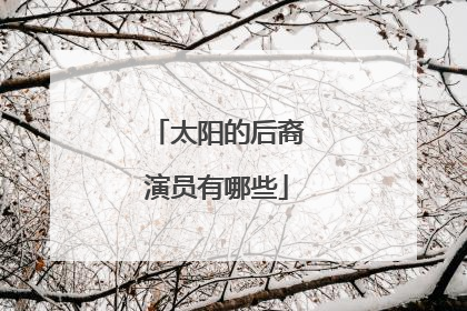 太阳的后裔演员有哪些