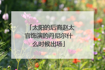 太阳的后裔赵太官饰演的丹尼尔什么时候出场