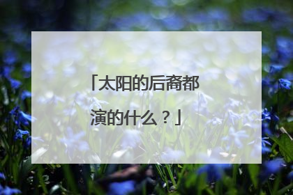 太阳的后裔都演的什么?