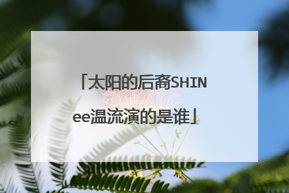 太阳的后裔SHINee温流演的是谁